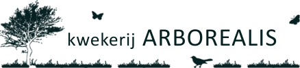 Kwekerij Arborealis Kwekerij Arborealis